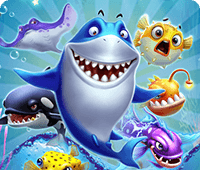 RTG fishing